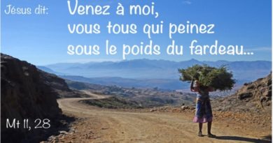 14ième dimanche du T.O.